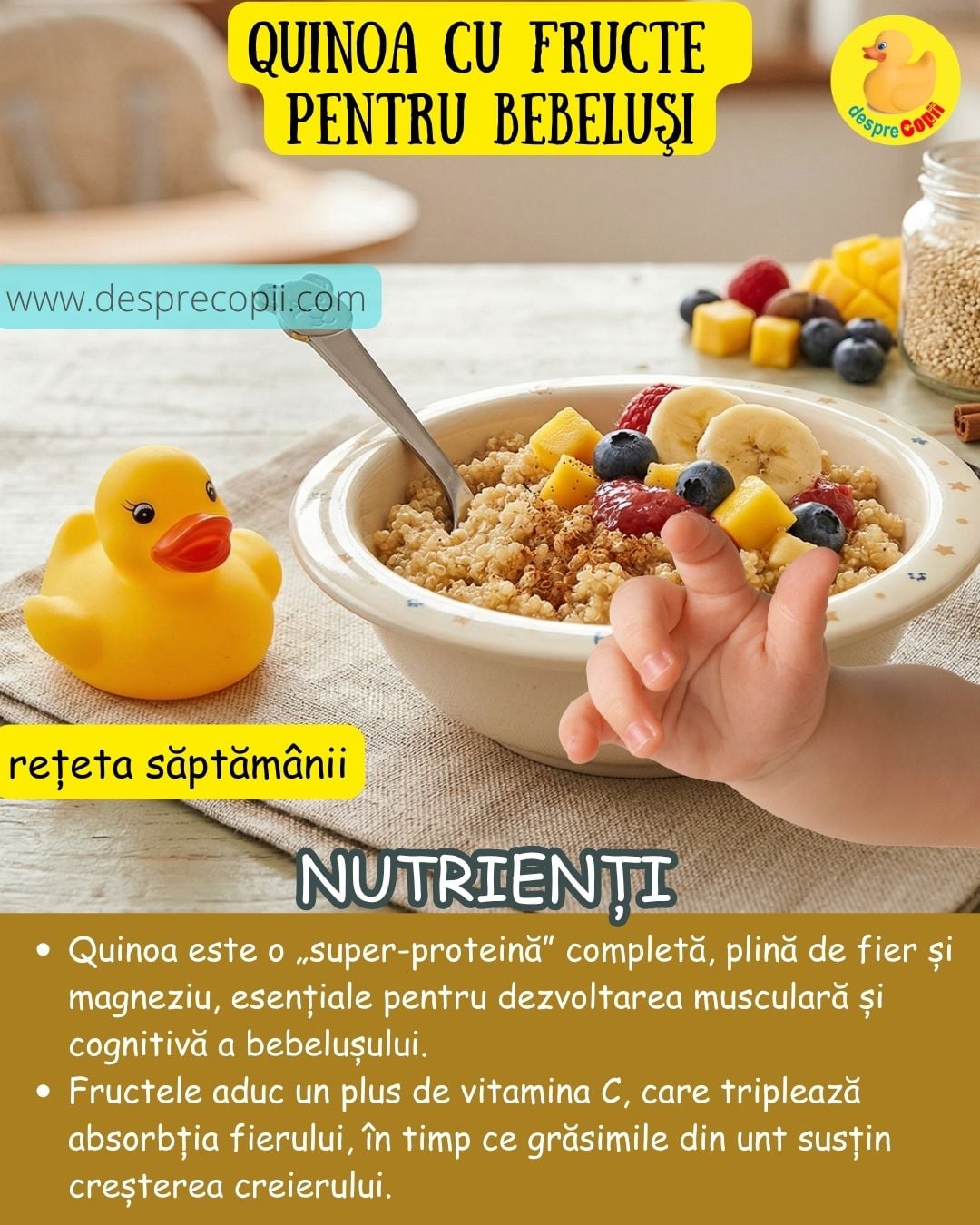quinoa bebelusi 